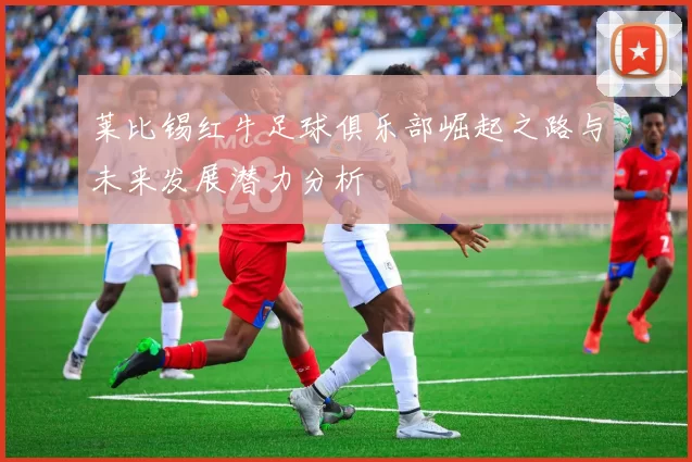 莱比锡红牛足球俱乐部崛起之路与未来发展潜力分析