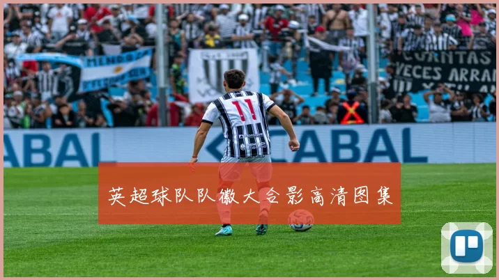 英超球队队徽大合影高清图集
