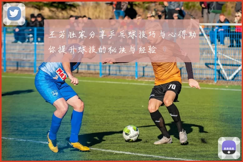 王芳独家分享乒乓球技巧与心得助你提升球技的秘诀与经验