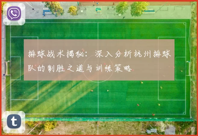 排球战术揭秘：深入分析杭州排球队的制胜之道与训练策略