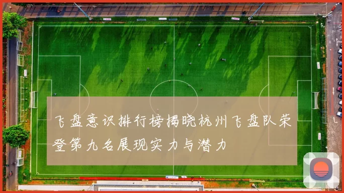 飞盘意识排行榜揭晓杭州飞盘队荣登第九名展现实力与潜力