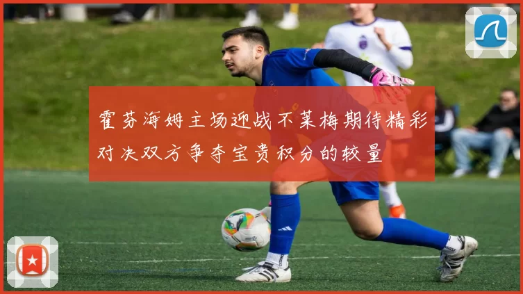 霍芬海姆主场迎战不莱梅期待精彩对决双方争夺宝贵积分的较量
