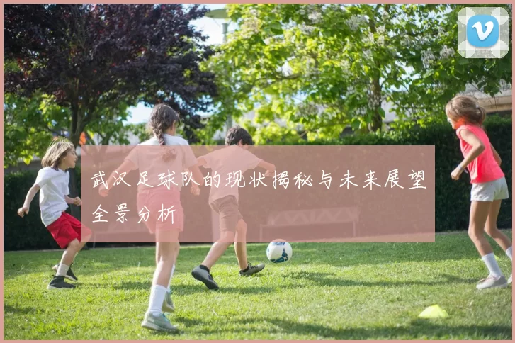 武汉足球队的现状揭秘与未来展望全景分析