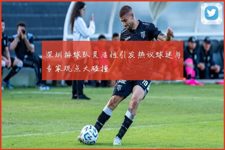 深圳排球队灵活性引发热议球迷与专家观点大碰撞