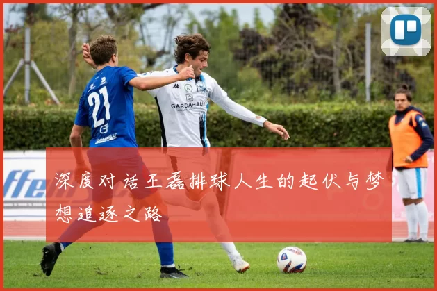 深度对话王磊排球人生的起伏与梦想追逐之路