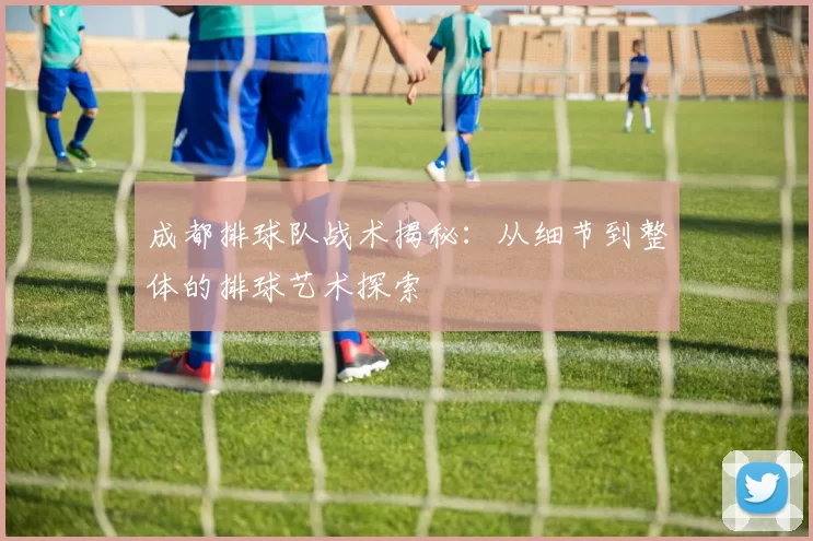 成都排球队战术揭秘：从细节到整体的排球艺术探索