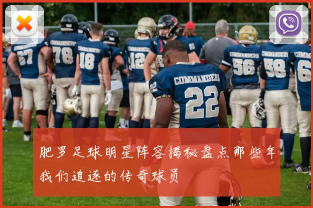 肥罗足球明星阵容揭秘盘点那些年我们追逐的传奇球员