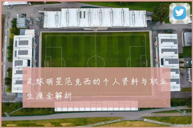 足球明星范克西的个人资料与职业生涯全解析