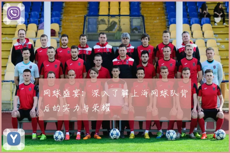 网球盛宴：深入了解上海网球队背后的实力与荣耀