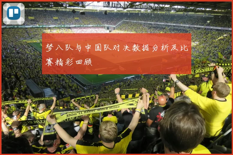 梦八队与中国队对决数据分析及比赛精彩回顾