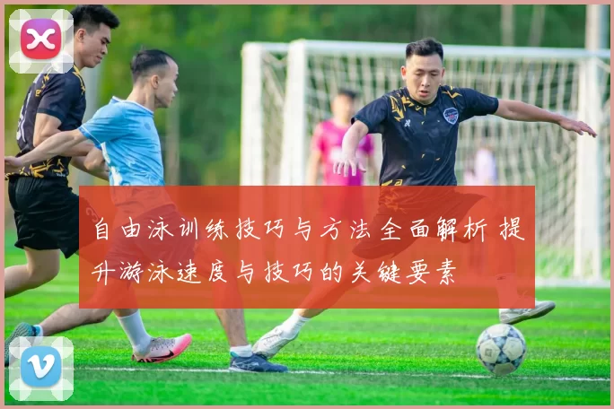 自由泳训练技巧与方法全面解析 提升游泳速度与技巧的关键要素