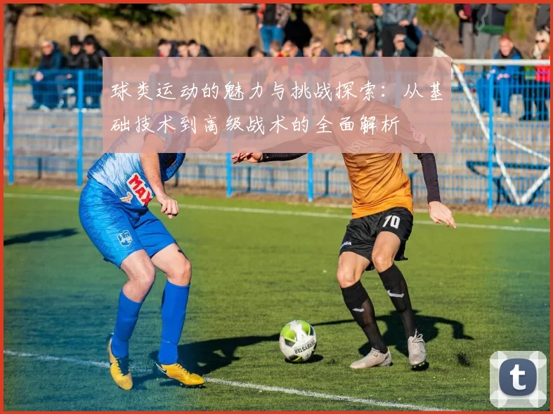 球类运动的魅力与挑战探索：从基础技术到高级战术的全面解析