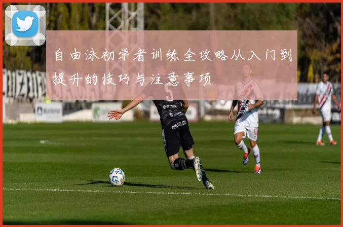 自由泳初学者训练全攻略从入门到提升的技巧与注意事项