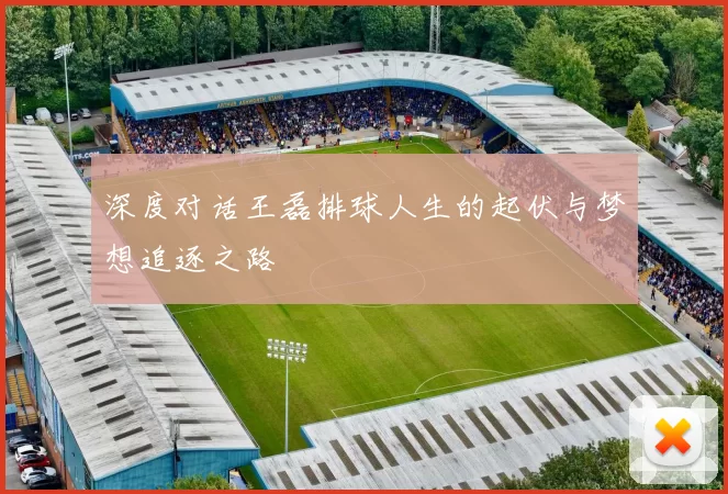 深度对话王磊排球人生的起伏与梦想追逐之路