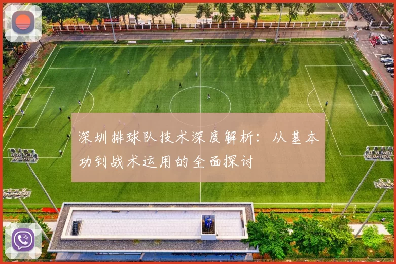 深圳排球队技术深度解析：从基本功到战术运用的全面探讨