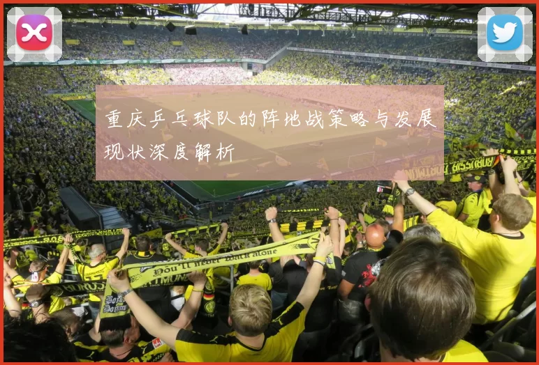 重庆乒乓球队的阵地战策略与发展现状深度解析