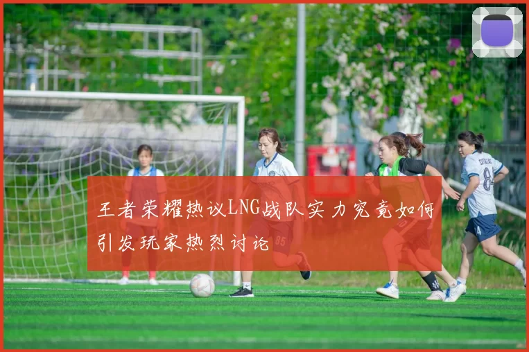 王者荣耀热议LNG战队实力究竟如何引发玩家热烈讨论