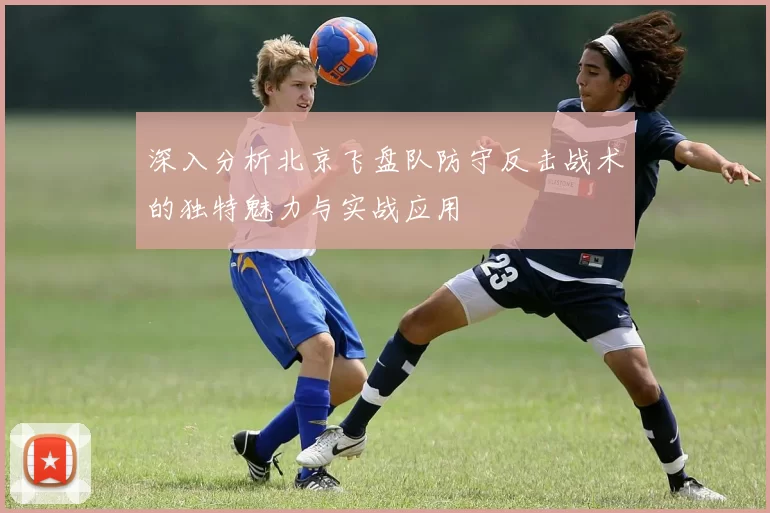 深入分析北京飞盘队防守反击战术的独特魅力与实战应用